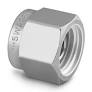 Plug Baja Tahan Karat 316 untuk Fitting Tabung Swagelok 1/4 inci.