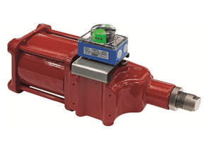 PNEUMATIC ACTUATOR